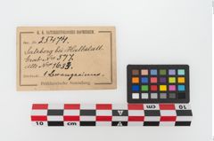 Etiketten zu Bronzesitula (NHMW-PRAE-025474)